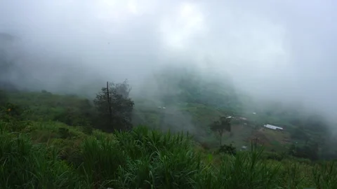 Footage 4K: Mountain layer landscape at Phu Thap Buek national park, Thailand Stock Footage 287106829