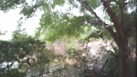 Footage 4K: Raindrops falling on a window glass home Stock Footage 278159085