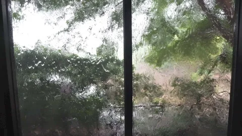 Footage 4K: Raindrops falling on a window glass home Stock Footage 278159194