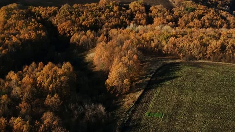 Footage from the air of  country road Stock Footage