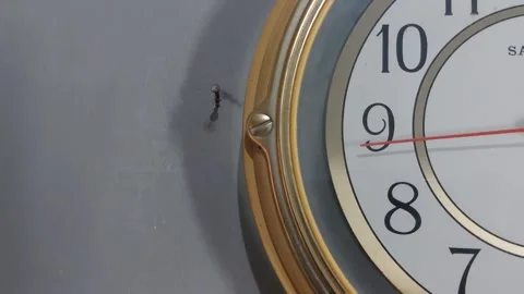 Footage of an analog quartz wall clock made in Japan Stockbeeldmateriaal 326197344