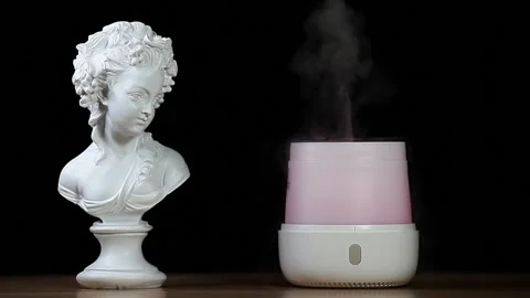 Footage of aroma diffuser statue dark background Stock Footage 219820343