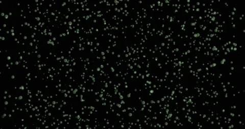 Footage, blue bubbles on a black background, transparent bubbles move up blend Stock Footage 164588950