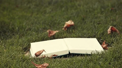 Footage of book grass background Stock Footage 137813177