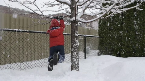 Footage of the boy from the back jumping on a tree Stock Footage 149459428
