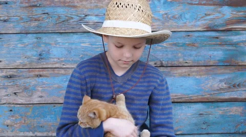 Footage boy playing with a cat Stock Footage 62050899