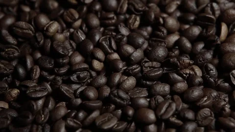 Footage of coffee seed background Stock Footage 300169723