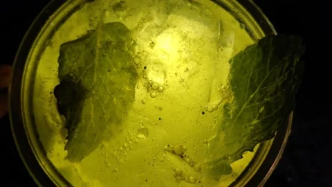 Footage of Cola with ice Stock Footage 235581998