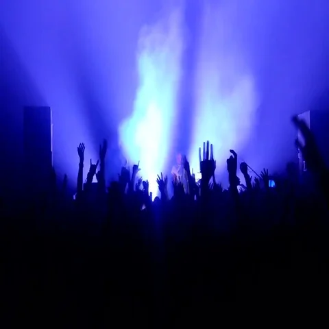 Footage of a crowd partying at a rock concert Stock Footage