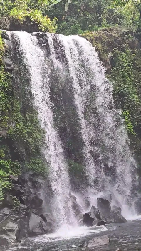 Footage of Curug Jenggala waterfall, Java, Indonesia Video stock 287047498