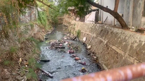 Footage Of Dirty Small River Video stock 344914213