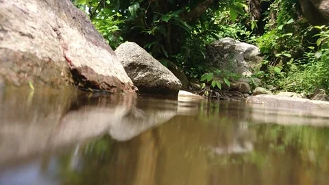 Footage of diving with fish Stock Footage 135432189