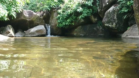 Footage of diving with fish Stock Footage 135432228