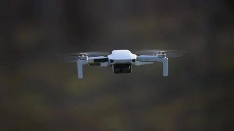 Footage from a Dji Mini 2 drone flying and hovering in wind Video stock 229544950
