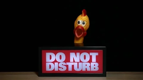 Footage of do not disturb text rubber chicken dark background Stock Footage 168128366