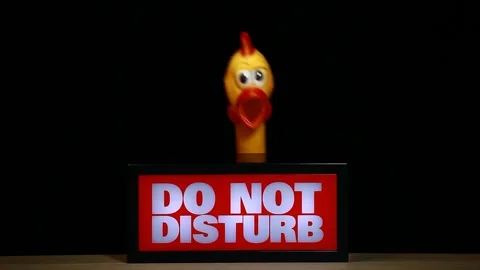 Footage of do not disturb text rubber chicken dark background Stock Footage 169698798