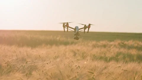 Footage of drone with digital video camera flying above green field, monitoring Stock Footage 201463173