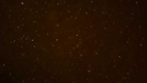 Footage of dust dark background Stock Footage 156901186