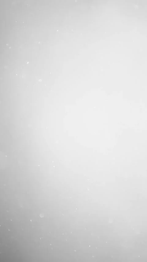 Footage of dust white background Stock Footage 302558808