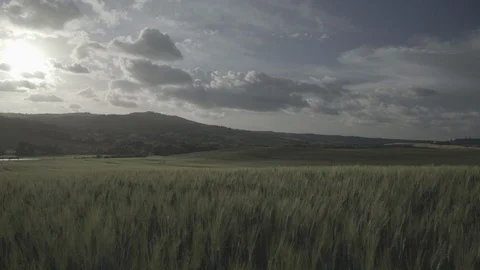 Footage editing process before and after. Spring sunset in Tuscany, Italy Stock Footage 123492587