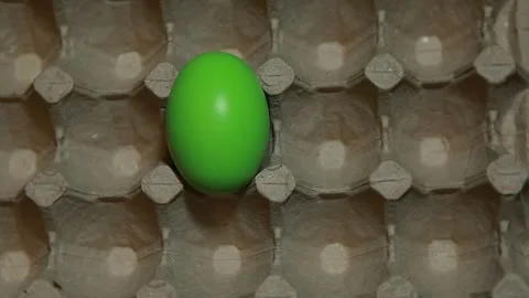 Footage of egg paper box Stock Footage 165546317