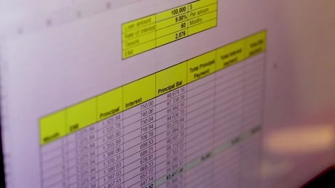 Footage of excel sheet of banking loan amortization schedule where different Vídeo Stock 169955280