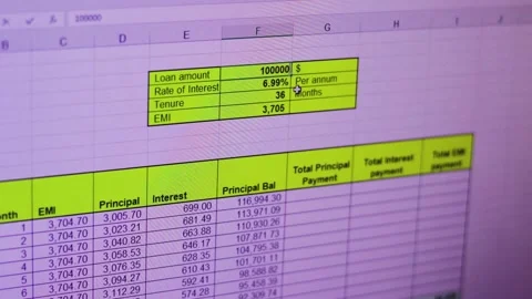 Footage of excel sheet of banking loan amortization schedule where different Vídeo Stock 169957015