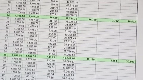 Footage of the excel sheet on computer screen showing bank loan amortizatio.. Stock Footage 294718571