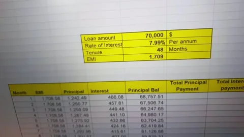 Footage of the excel sheet on computer screen showing bank loan amortizatio.. Stock Footage 294718748