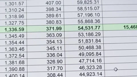 Footage of an excel sheet on computer screen showing bank loan amortization.. Stock Footage 300351898