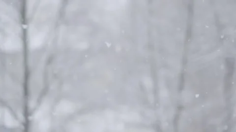 Footage of falling snow on blurred background of trees in winter. View from the 스톡 동영상 260603754