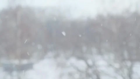 Footage of falling snow on blurred background of trees. Stock Footage 285811772