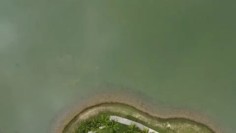 Footage of the Floating Mosque Stock Footage 237140446