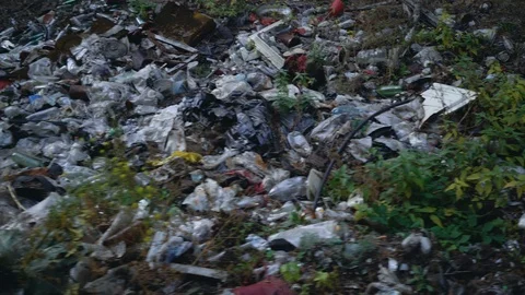 Footage Forest Pollution. Dump Garbage in Woods Stock Footage 117194800