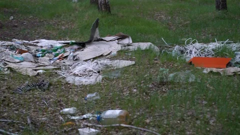 Footage Forest Pollution. Dump Garbage in Woods. Stock Footage 129977576