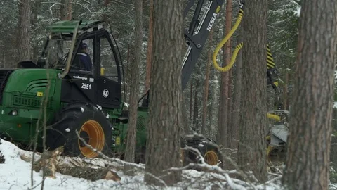 Footage of a forwarder working in the forest Stock Footage 70705635