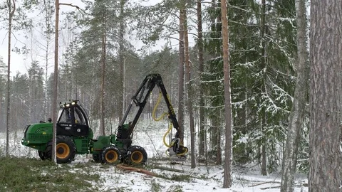 Footage of the forwarder working in the forest in winter, deforestication Stock Footage 70705569