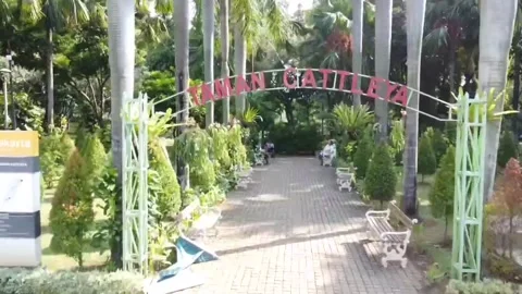 FOOTAGE GARDEN Stock Footage 209707948