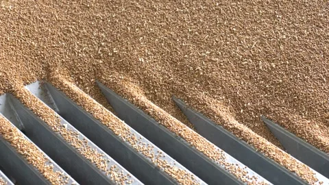 Footage of Grain being processed on a UK farm during harvest season, showing agr Stock Footage 321754285
