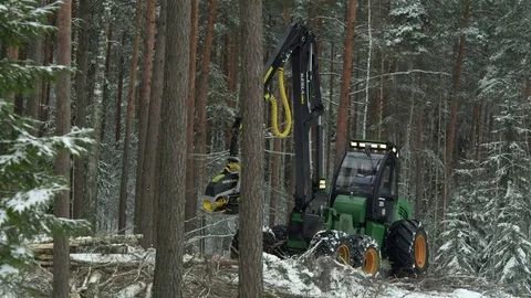 Footage of a green forwarder Video stock 70705378