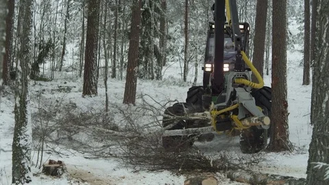 Footage of a green forwarder working in the forest in winter Stock Footage 70705361
