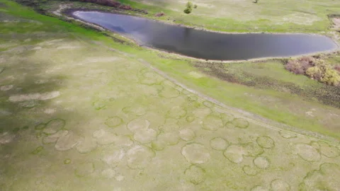 Footage of a green lawn. Stock Footage 133409799