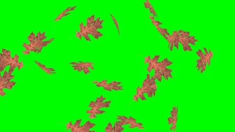 Footage green Leaf fall2 Stock Footage 82970962