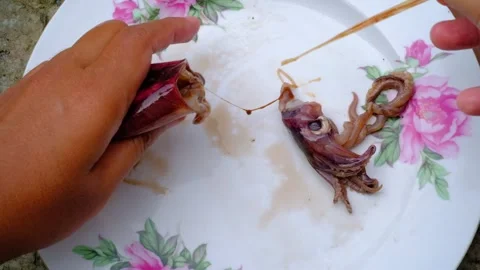 Footage of a hand cleaning squid Stock Footage 308898618