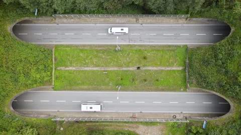 Footage Of The Highway In The Forest Stock Footage 332417929