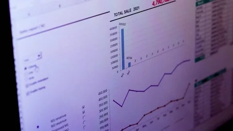 Footage of interactive sales report made in excel sheet. Stock Footage 169958513