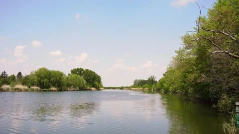 Footage of a lake in spring Stock Footage 253254734