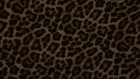 Footage of leopard textile background Stock Footage 201267183