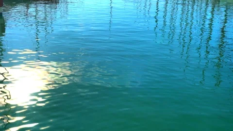 Footage of light reflection on a water surface with flocks of passing fish . 4K Stock Footage 104764362
