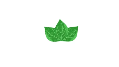 Footage of loop animation of hand drawn green leaves zooming in on white Stock Footage 131451462